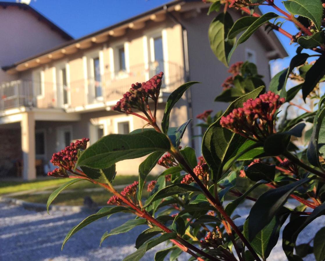 Happy Hill - Appartamento Quercia - Natura E Relax Santa Maria Rocca Luaran gambar