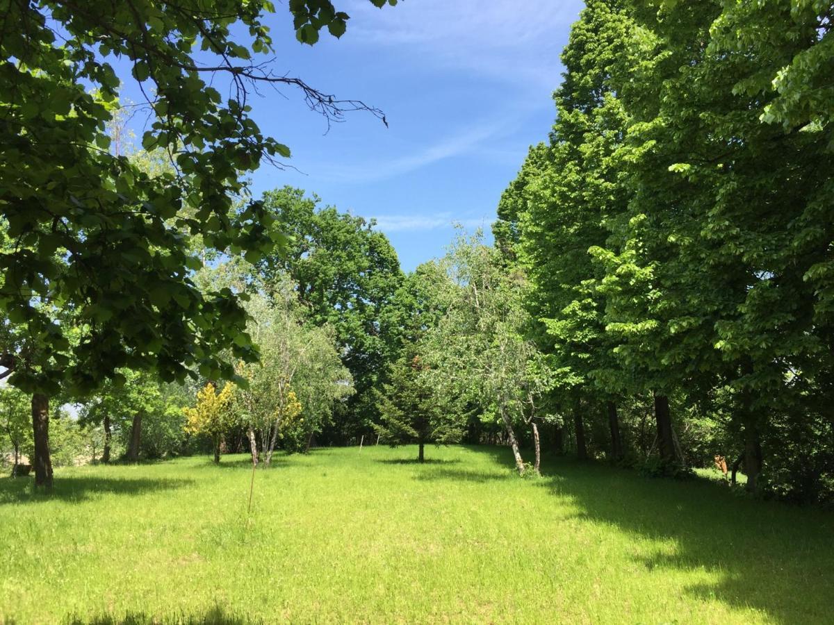 Happy Hill - Appartamento Quercia - Natura E Relax Santa Maria Rocca Luaran gambar